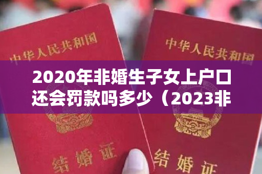 2020年非婚生子女上户口还会罚款吗多少（2023非婚生子女怎么上户口新政策）