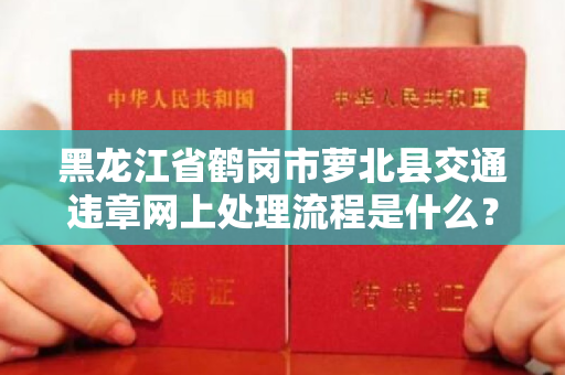 黑龙江省鹤岗市萝北县交通违章网上处理流程是什么？