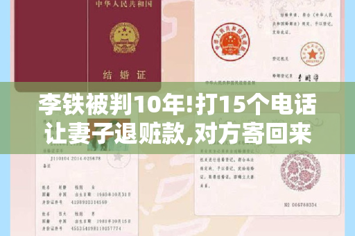 李铁被判10年!打15个电话让妻子退赃款,对方寄回来