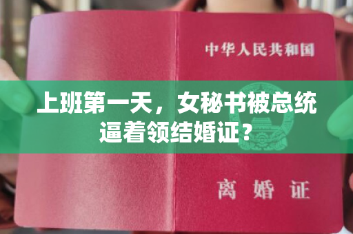 上班第一天，女秘书被总统逼着领结婚证？