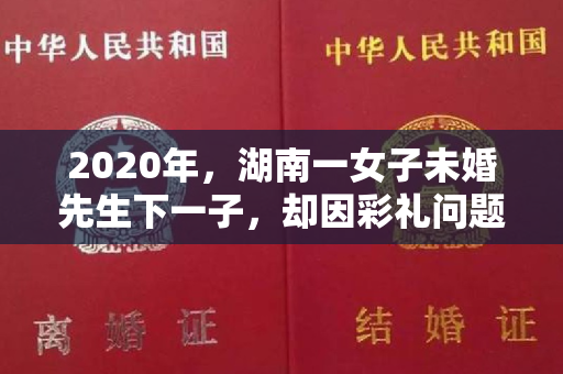 2020年，湖南一女子未婚先生下一子，却因彩礼问题不愿结婚