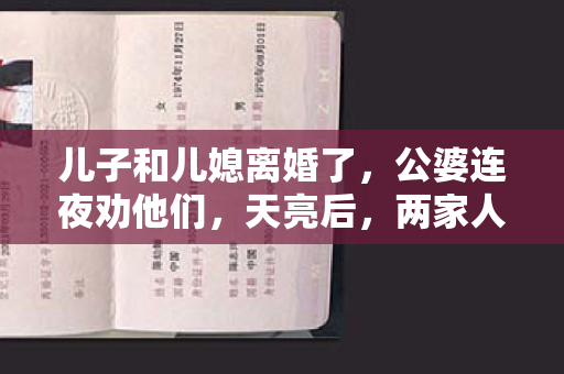 儿子和儿媳离婚了，公婆连夜劝他们，天亮后，两家人拿到了四张离婚证明