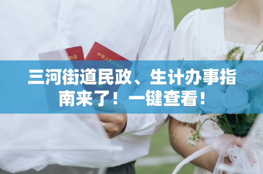 三河街道民政、生计办事指南来了！一键查看！