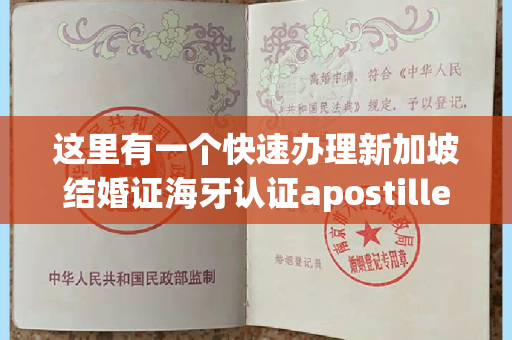 这里有一个快速办理新加坡结婚证海牙认证apostille的渠道