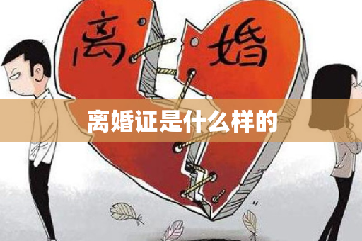 离婚证是什么样的