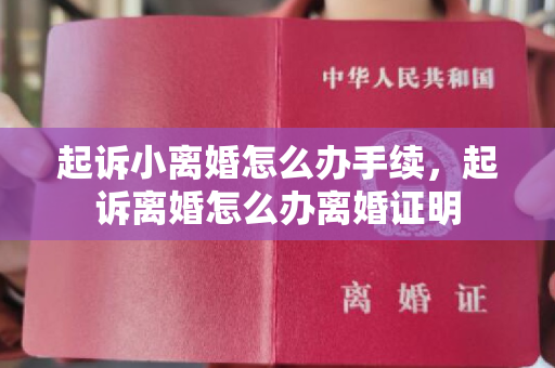 起诉小离婚怎么办手续，起诉离婚怎么办离婚证明