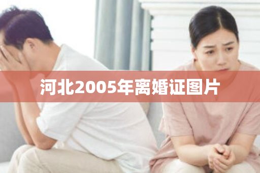 河北2005年离婚证图片