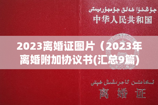 2023离婚证图片（2023年离婚附加协议书(汇总9篇)