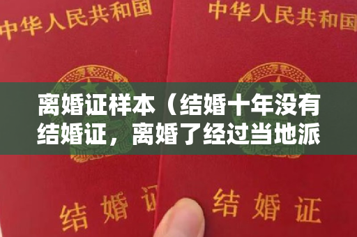 离婚证样本（结婚十年没有结婚证，离婚了经过当地派出所调解，现在男方又用微信转账起诉于我。）