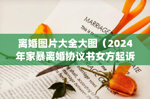 离婚图片大全大图（2024年家暴离婚协议书女方起诉(大全12篇)