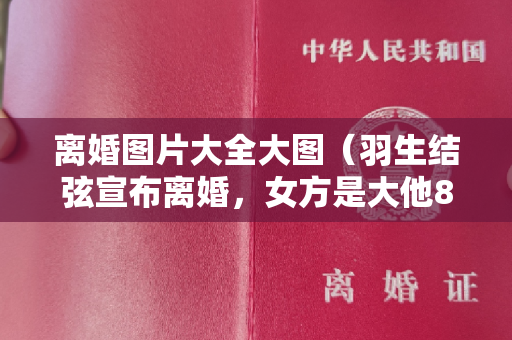 离婚图片大全大图（羽生结弦宣布离婚，女方是大他8岁的小提琴手，被传已经生下孩子）