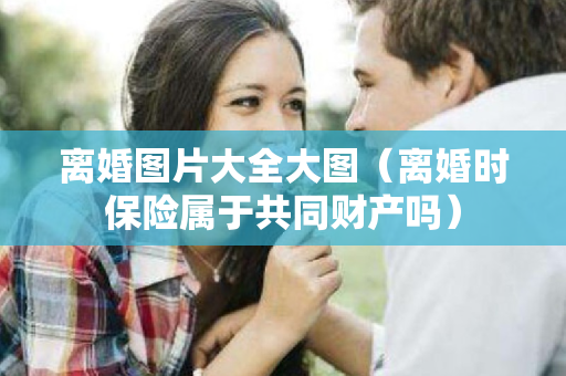 离婚图片大全大图（离婚时保险属于共同财产吗）