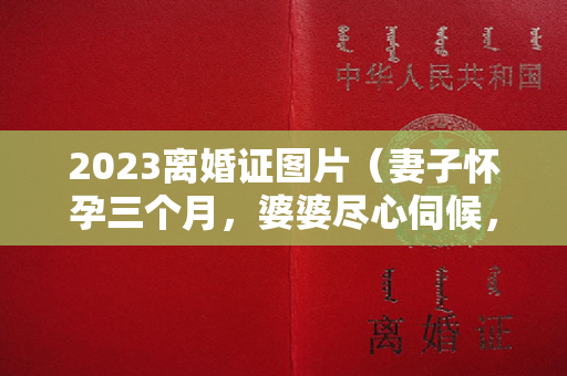 2023离婚证图片（妻子怀孕三个月，婆婆尽心伺候，她却愤然提出离婚）