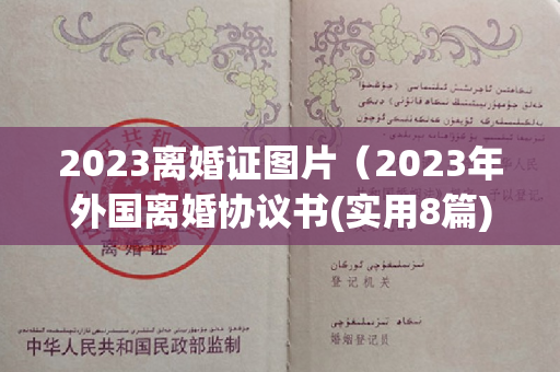 2023离婚证图片（2023年外国离婚协议书(实用8篇)