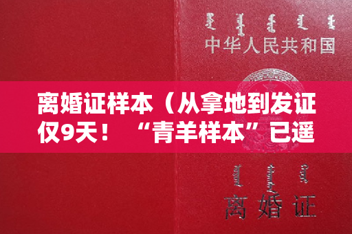 离婚证样本（从拿地到发证仅9天！ “青羊样本”已遥遥领先）