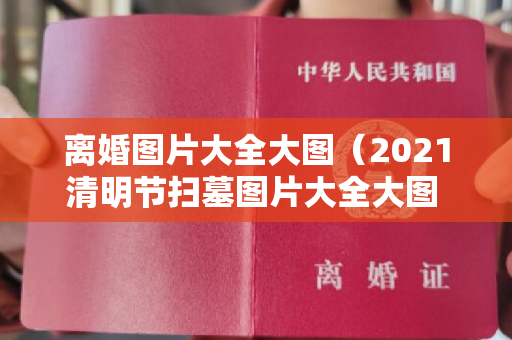 离婚图片大全大图（2021清明节扫墓图片大全大图 清明节上坟图片大全）