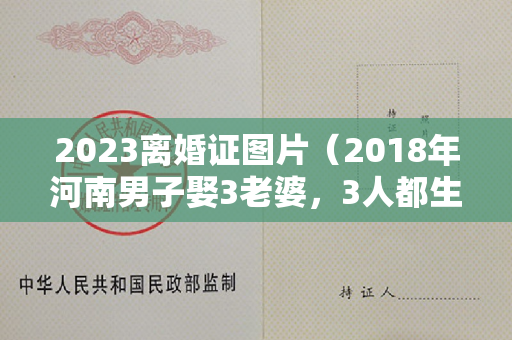 2023离婚证图片（2018年河南男子娶3老婆，3人都生娃了，男子：不该安排在同一小区）