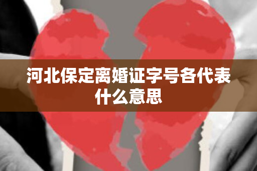 河北保定离婚证字号各代表什么意思