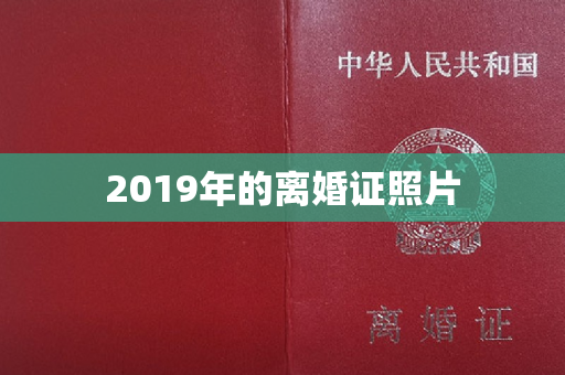 2019年的离婚证照片