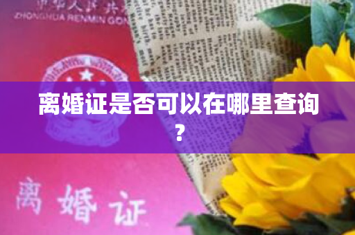 离婚证是否可以在哪里查询？