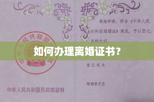 如何办理离婚证书？