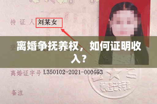 离婚争抚养权，如何证明收入？