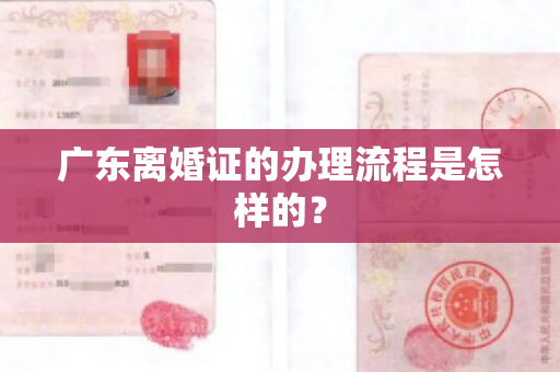 广东离婚证的办理流程是怎样的？