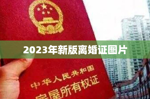 2023年新版离婚证图片