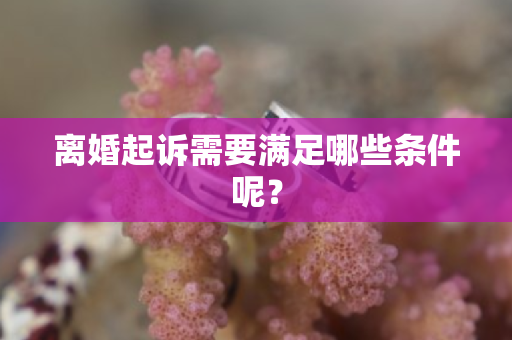 离婚起诉需要满足哪些条件呢？